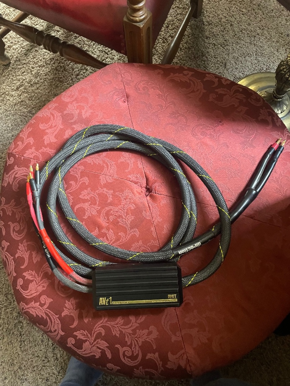 MIT AVt1 speaker cables featuring a proprietary network box (Single) 10Ft
